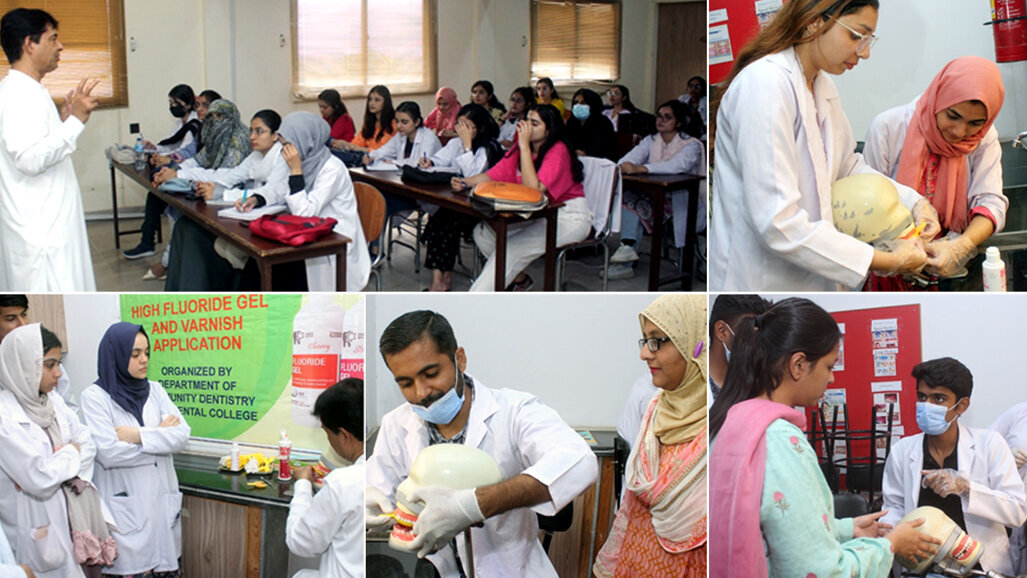 BDC workshop on high-fluoride gel use to prevent dental caries