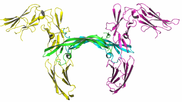 Nowy paradygmat dla wewnątrzustnych procedur regeneracyjnych