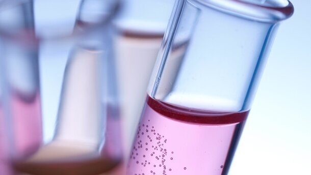 Gen bringt Zähne in Form