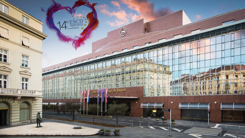 “Heart of esthetics”: Cosmetic dentists gather for annual meeting