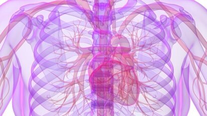 Mund-Infektionen attackieren Blutgefäße