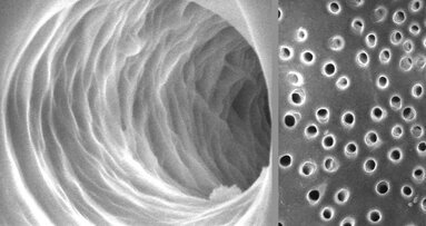 With a pledge to the AAE Foundation, Sonendo supports the advancement of endodontics