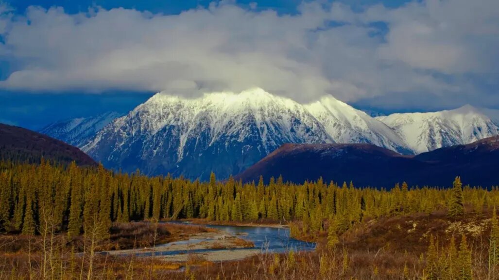 Дигиталната дентална медицина предлага ли решение на казуса с устойчивостта?