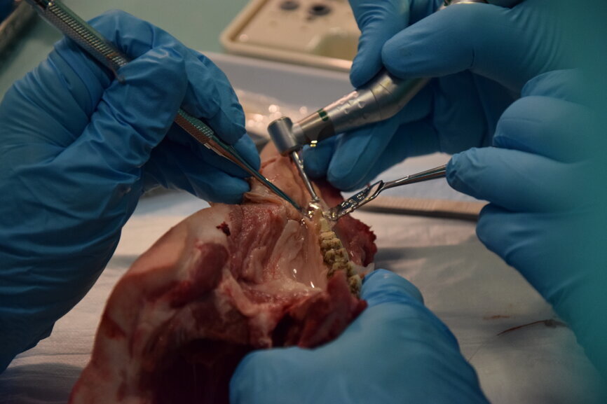 Dr Torsello shows the attendees how to use the clinical instruments. (Photograph: Franziska Beier, DTI) 