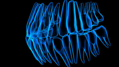 L'odontologie médico-légale au cœur d'un ouvrage
