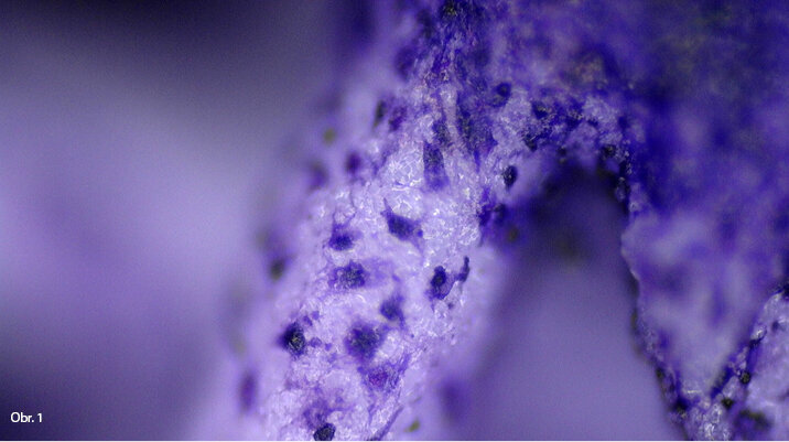 Konstrukce lešení vhodného pro speciální účely. Buňky jsou rozprostřeny na povrchu trámce scaffoldu. Reakce buněk je pozitivní.