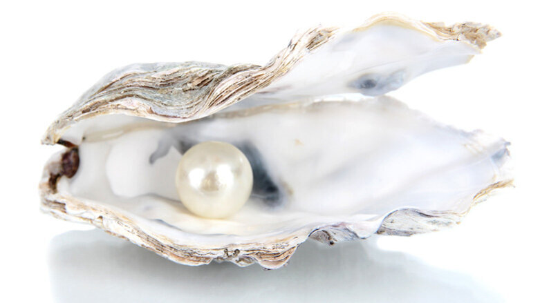 Dentist-led study on pearls could produce fracture-resistant materials