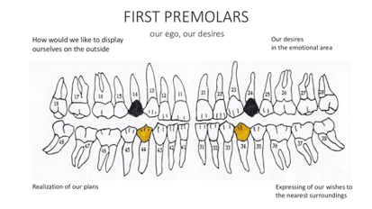 What do our teeth betray about us?—Part II
