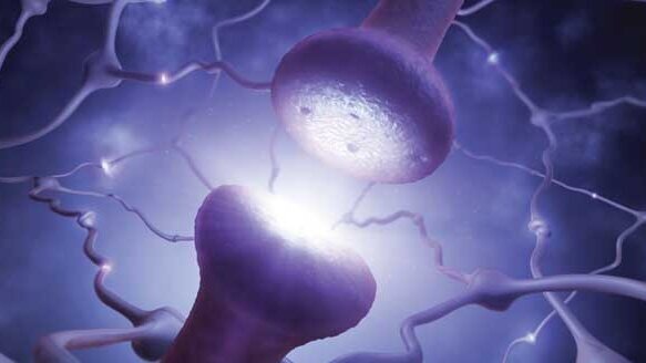 The breakthrough science of blocking pain