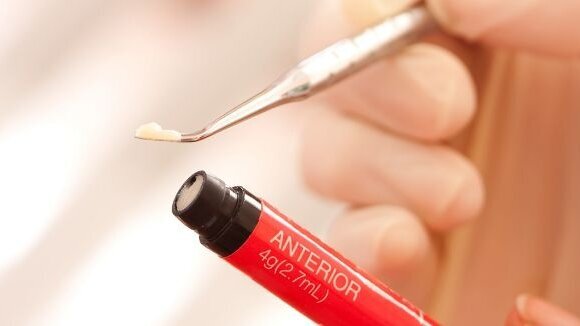 Излагането на въздействието на бисфенол А вероятно потиска развитието на мозъка