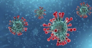 Repercusiones en Argentina de la pandemia que mantiene en alerta al mundo