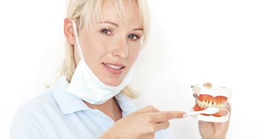 Harmonisierte Ausbildung für umfassendere Betreuung der Patienten