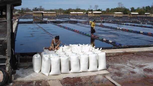 Fluoration du sel iodé au Laos