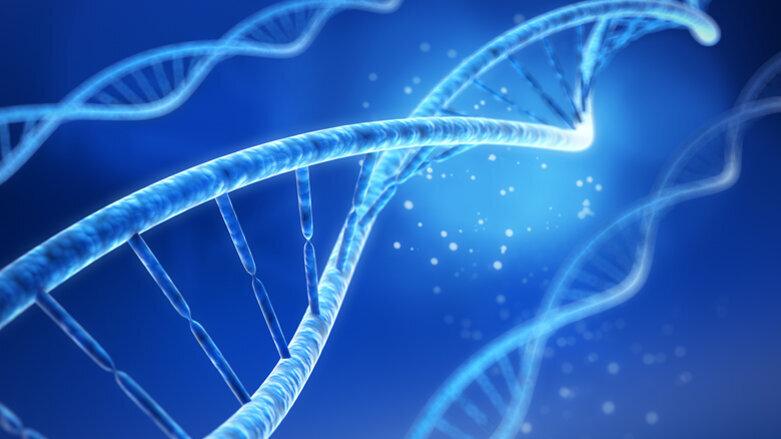 Karies: Wissenschaftler entschlüsseln weitere Bakterienart