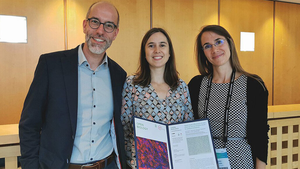 Sauerstoffmangel in der Schwangerschaft begünstigt Lippen-Kiefer-Gaumen-Spalten