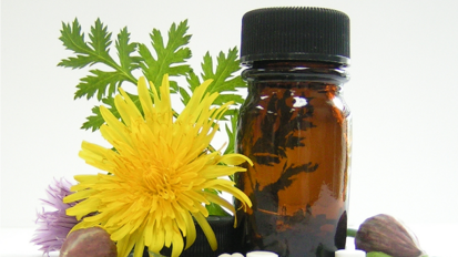 Osteointegrazione: uno studio sull’efficacia della medicina omeopatica