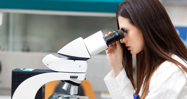 Forscher entlarven orale Bakterien schon in der Plazenta