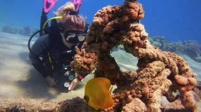 Muitos de mergulhadores autônomos podem experimentar sintomas dentários