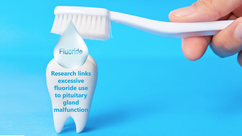 Research links excessive fluoride use to pituitary gland malfunction