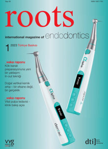 roots Turkey No. 1, 2023