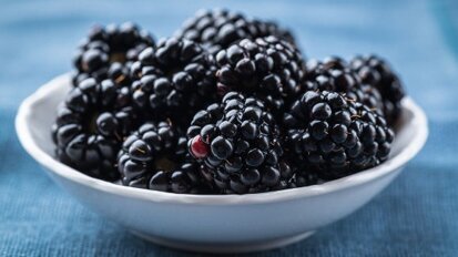 Къпините – възможност за лечение на оралните инфекции