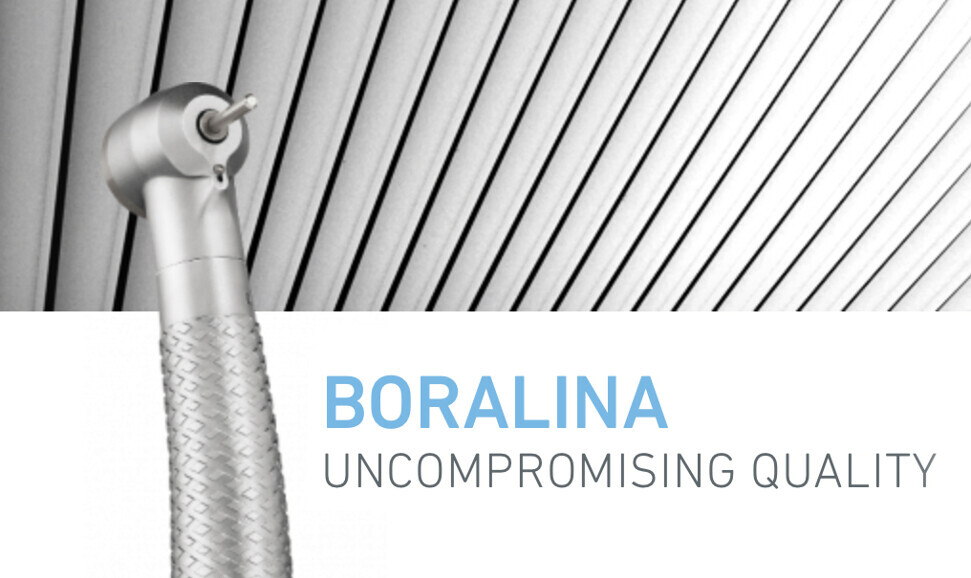 Boralina