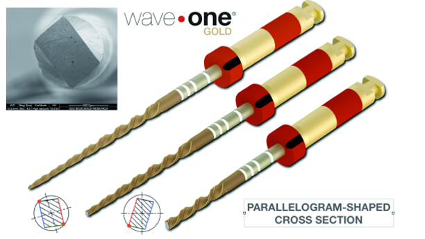 Shaping canals with confidence: WaveOne GOLD single-file reciprocating system