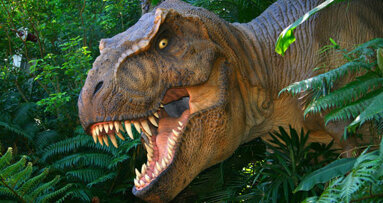 Versteinerter Zahnschmelz als Thermometer