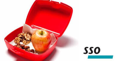 Anleitung zu gesunden Znüni in Berner Schulen