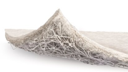 Innovations in biomaterials aim to advance oral regeneration