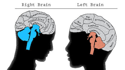 Esthetics and the brain