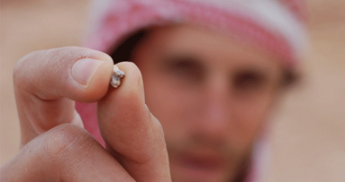 Fossiler Zahn belegt Marschroute von Affen