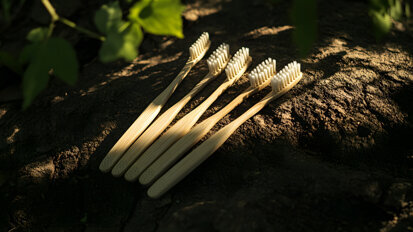 Swedish university receives funding boost to expand holistic dental health research