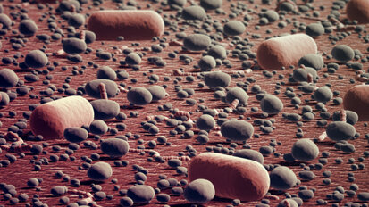 Biofilm ist so einzigartig wie Fingerabdruck