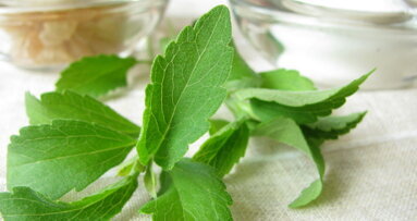 Stevia bald Nahrungsmittel?