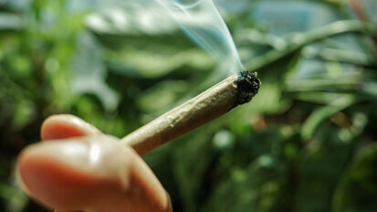 Frequent cannabis use associated with caries and severe tooth loss, study finds