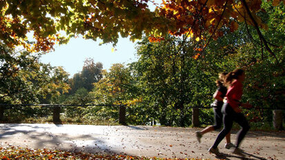 Il wellness nella professione del dentista