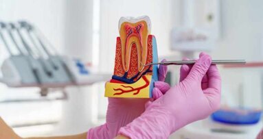 Deutsche Zahnmedizin gibt ein gutes Bild ab