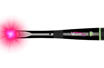 VALIANT PINK curing light