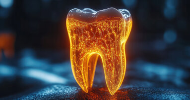 Die Notbremse im Mund: Nervenzellen schützen vor Zahnschäden