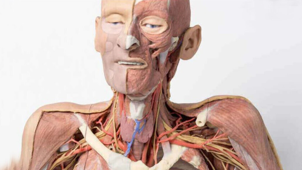 DHA drives forward patient care with pioneering 3D printing lab