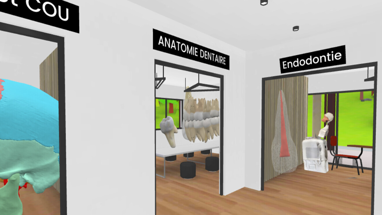 Fig. 7 : DentisfuturisVR : les salles de travaux pratiques en VR par disciplines.