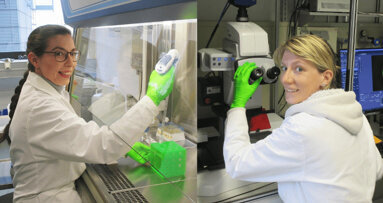 Researchers and dentists join forces to increase durability of dental fillings