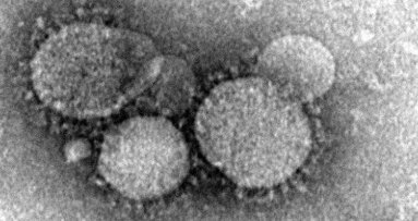 אגוד לבקרת זיהומים מעדכן את רופאי השיניים בנושא מחלות זיהומיות