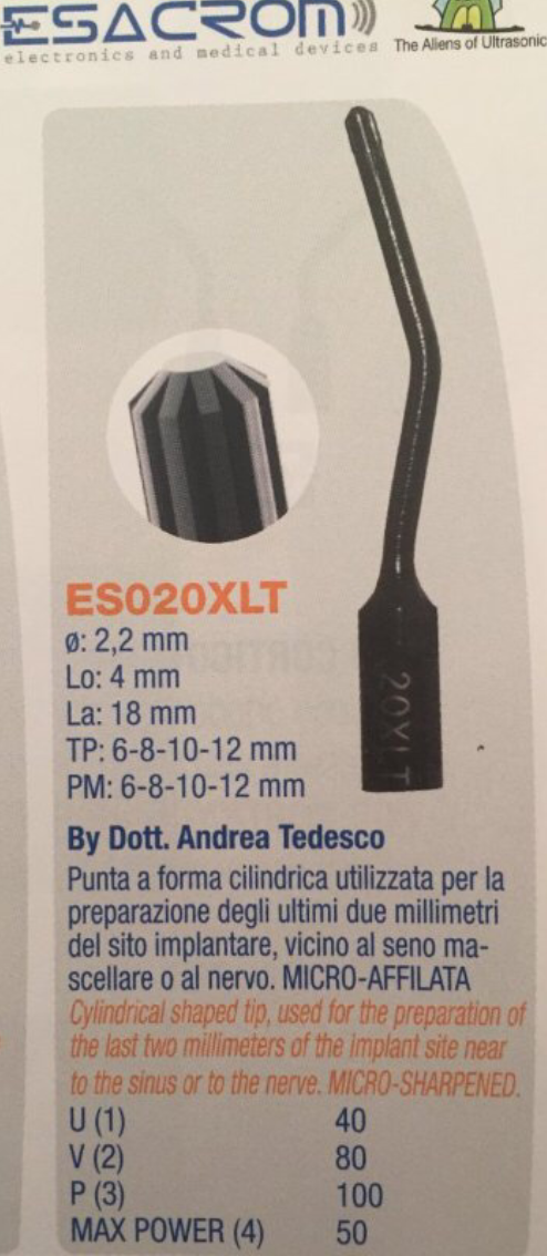 Fig. 1d - Inserto ES020XLT disegnato dal Dott. Tedesco.