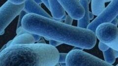 Oralne bakterije mogu biti odgovorne za infekcije koje se prenose hranom