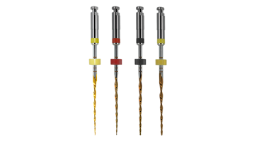 EdgeEndo to showcase high-quality endodontic solutions at ESE Autumn Meeting 2024