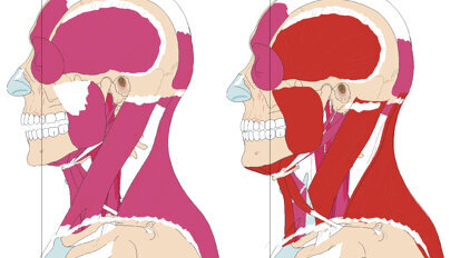 Posturologia e Odontoiatria: un connubio possibile?