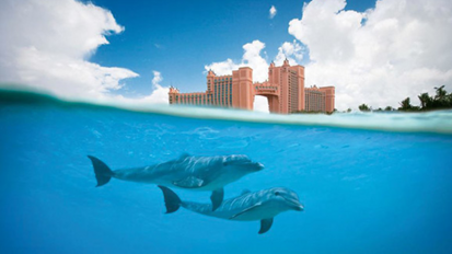 Ponentes de primera línea en la isla del paraíso: IV Conferencia Mundial de MIS