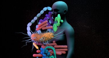 Reversing dysbiosis can treat autoimmune diseases